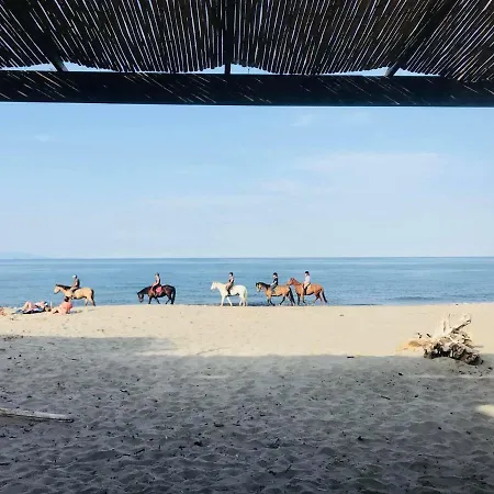Esprit Cabane Kemping